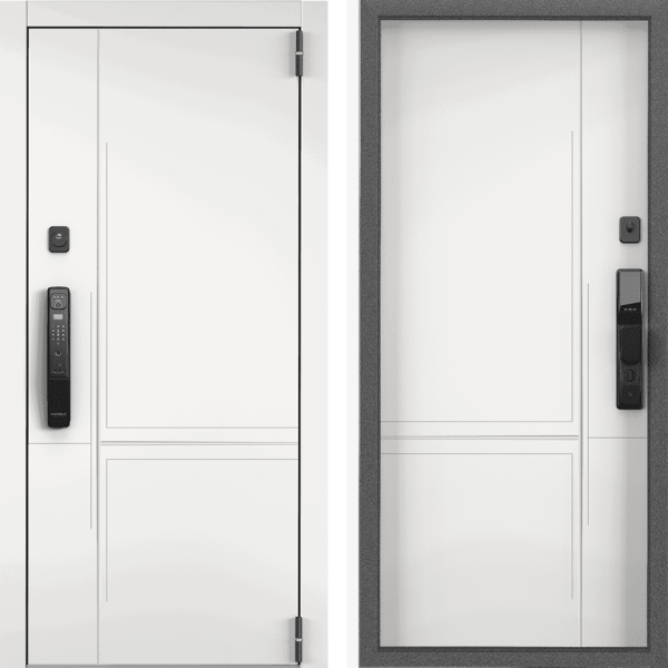 Дверь Торекс Cyber PRO PP CBR-29 Белый
